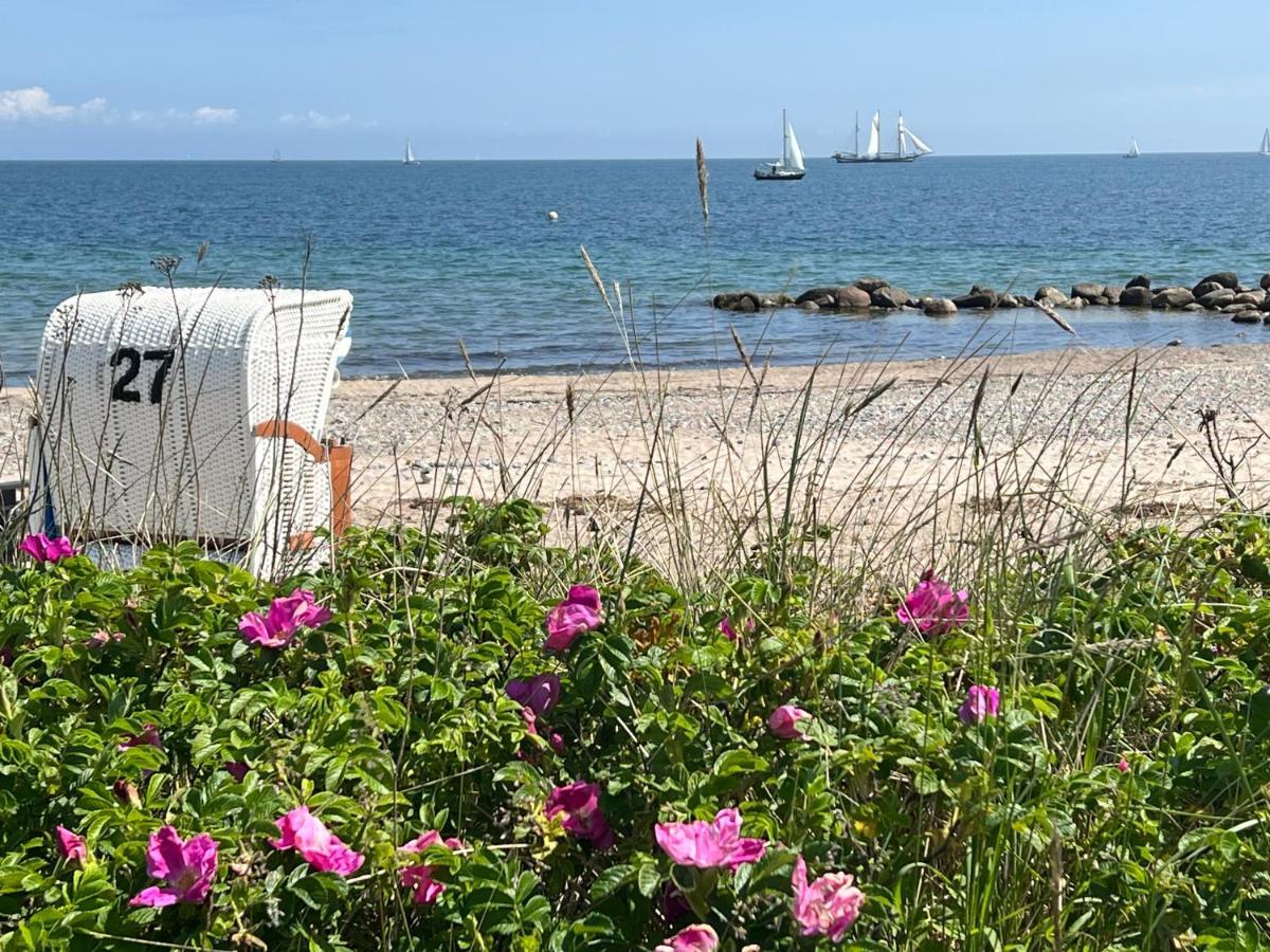 Seelund - Meeresrauschen Lauschen - Ruhiges Sonniges Apartment Mit Garten Und Terrasse Nahe Strand Und Ostsee เชินฮาเกน ภายนอก รูปภาพ